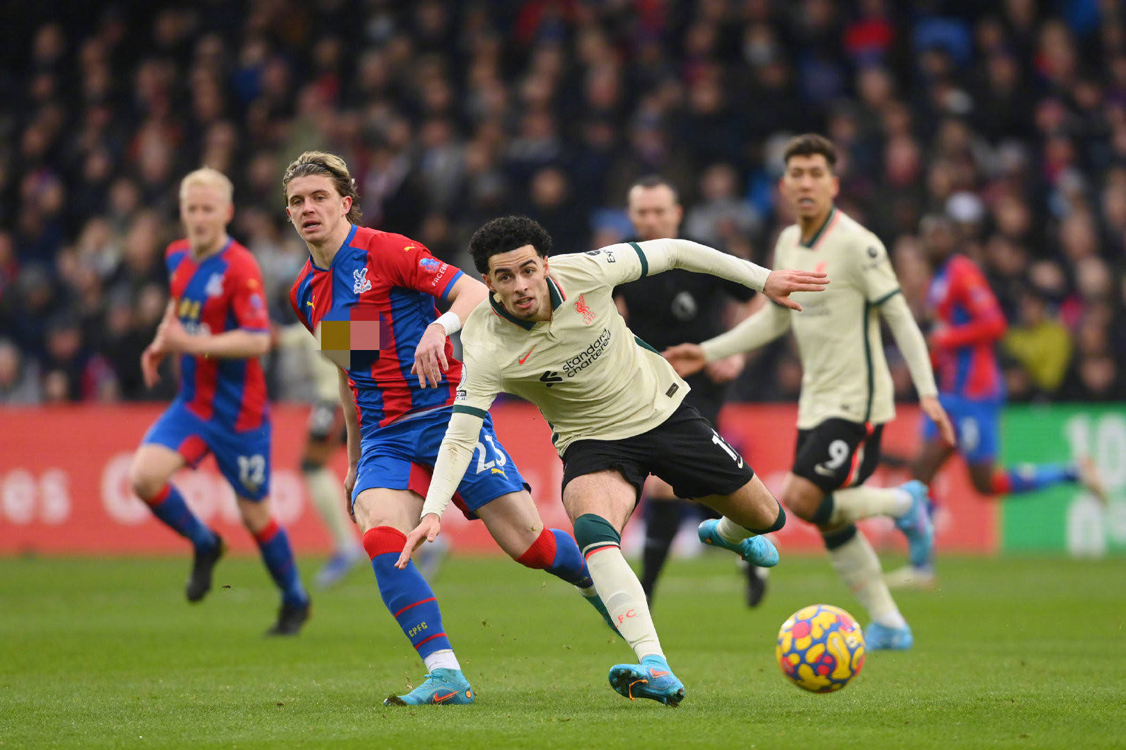 直布罗陀在 直布罗陀在