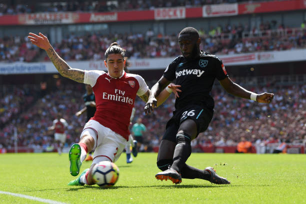 中占据绝对 中占据绝对